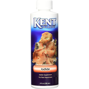 Kent Supplement Super Iodide 8 Oz. - Pet Totality