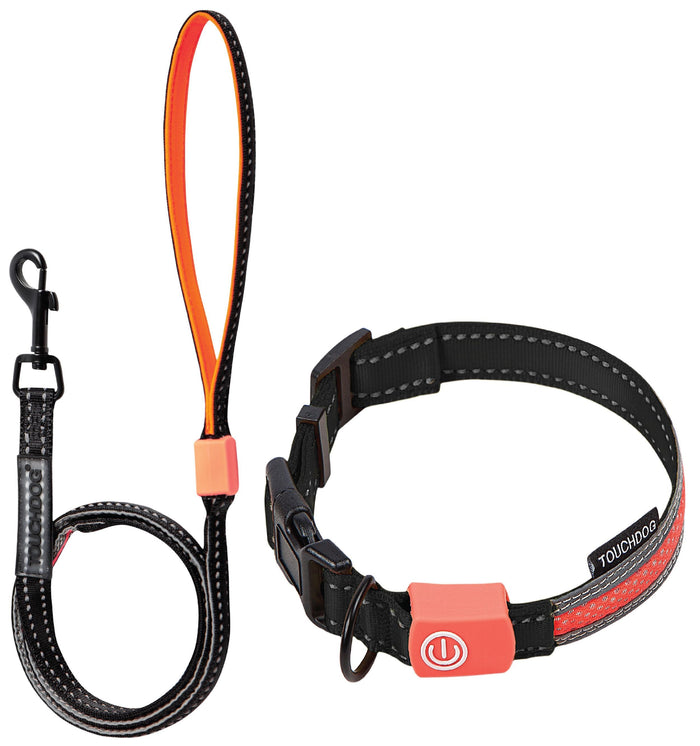 Touchdog  'Lumiglow' 2-in-1 USB Charging LED Lighting Water-Resistant Dog Leash and Collar