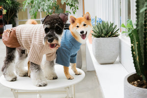 Touchdog  'Modress' Fashion Designer Dog Sweater and Dress - Pet Totality