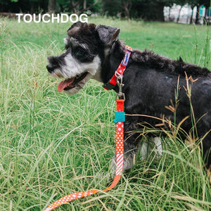 Touchdog  'Trendzy' 2-in-1 Matching Fashion Designer Printed Dog Leash and Collar - Pet Totality