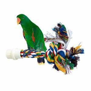 Booda Byrdy Bush Multicolor Medium