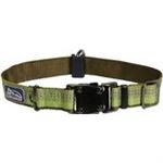 Coastal K9 Explorer 1" Adj Collar     Fern Green  (12-18")