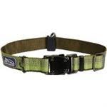 Coastal K9 Explorer 1" Adj Collar   Fern Green  (18-26") - Pet Totality