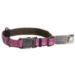 Coastal K9 Explorer 1" Adj Collar    Rosebud Pink (12-18")