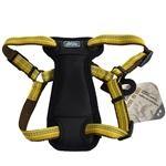 Coastal K9 Explorer 1" Padded Harness Goldenrod Yellow  (20-30")