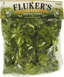 Fluker'S Repta-Vines Pothos 6Ft - Pet Totality