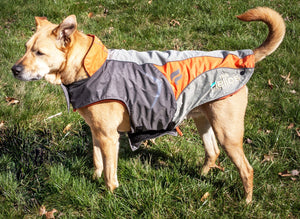 Helios Lotus-Rusher Waterproof 2-in-1 Convertible Dog Jacket w/ Blackshark technology - Pet Totality