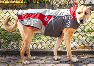 Helios Lotus-Rusher Waterproof 2-in-1 Convertible Dog Jacket w/ Blackshark technology - Pet Totality