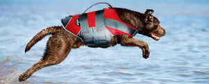 Helios Splash-Explore Outer Performance 3M Reflective and Adjustable Buoyant Dog Harness and Life Jacket - Pet Totality