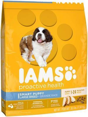 Iams Proactive Health Smart Puppy Large Breed Dry Puppy Food 38.5 Pounds - Pet Totality