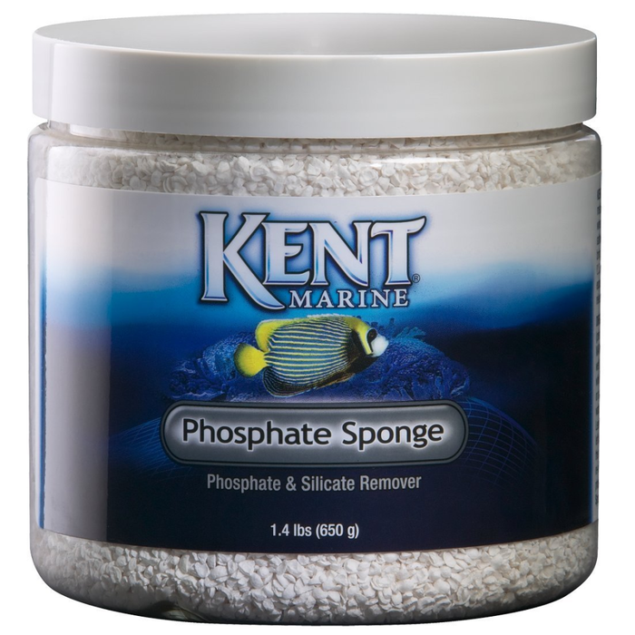 Kent Media Phosphate Sponge 1Qt