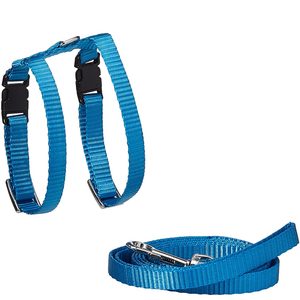 Marshall Harness & Lead Set Blue - Pet Totality