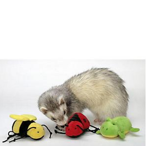 Marshall Pull-N-Go Toy Assorted - Pet Totality