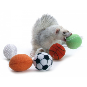 Marshall Sport Balls 2Pk - Pet Totality