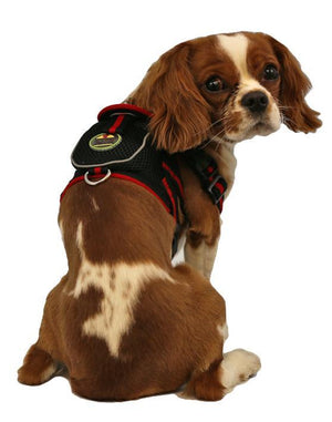 Mesh Pet Harness With Pouch - Pet Totality