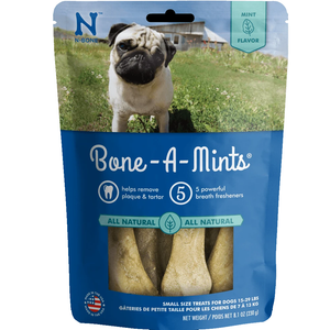 Nbone Dog Boneamints Small 10Pk - Pet Totality