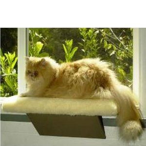North American Pet Cat Window Perch - Pet Totality