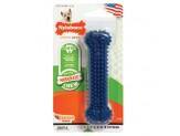 Nylabone Dentalchew Blister Card Regular - Pet Totality