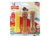 Nylabone Flavor Frenzy Dura Chew Triple Pack Regular - Pet Totality