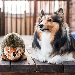 Outward Hound Hedgehogz Brn Lg - Pet Totality