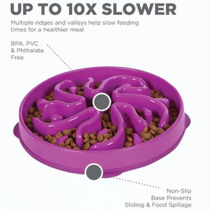 Outward Hound Outward Hound Fun Feeder Dog Bowl Slow Feeder Stop Bloat For Dogs, Large, Purple - Pet Totality