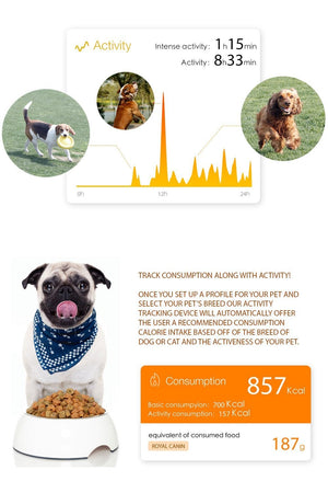 PETKIT P2 Smart Activity Monitoring Pet Tracker - Pet Totality