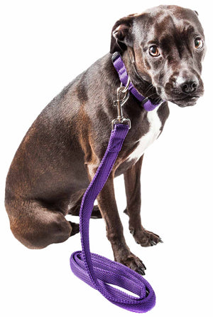 Pet Life  'Aero Mesh' 2-In-1 Dual Sided Comfortable And Breathable Adjustable Mesh Dog Leash-Collar - Pet Totality