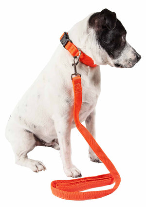 Pet Life  'Aero Mesh' 2-In-1 Dual Sided Comfortable And Breathable Adjustable Mesh Dog Leash-Collar - Pet Totality