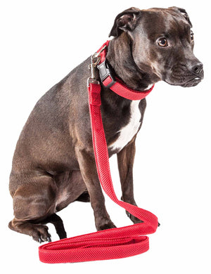 Pet Life  'Aero Mesh' 2-In-1 Dual Sided Comfortable And Breathable Adjustable Mesh Dog Leash-Collar - Pet Totality