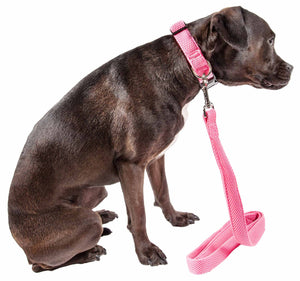 Pet Life  'Aero Mesh' 2-In-1 Dual Sided Comfortable And Breathable Adjustable Mesh Dog Leash-Collar - Pet Totality