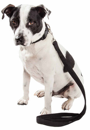 Pet Life  'Aero Mesh' 2-In-1 Dual Sided Comfortable And Breathable Adjustable Mesh Dog Leash-Collar - Pet Totality