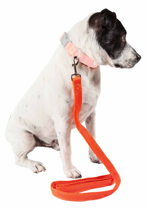 Pet Life  'Aero Mesh' Dual Sided Comfortable And Breathable Adjustable Mesh Dog Leash - Pet Totality