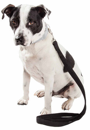 Pet Life  'Aero Mesh' Dual Sided Comfortable And Breathable Adjustable Mesh Dog Leash - Pet Totality
