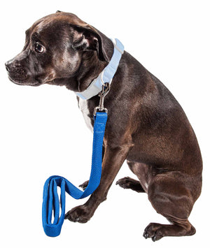 Pet Life  'Aero Mesh' Dual Sided Comfortable And Breathable Adjustable Mesh Dog Leash - Pet Totality