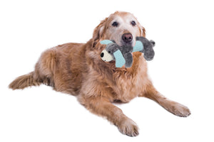 Pet Life Cozy Play Plush 2 Set Of Matching Squeaking Chew Dog Toys - Pet Totality
