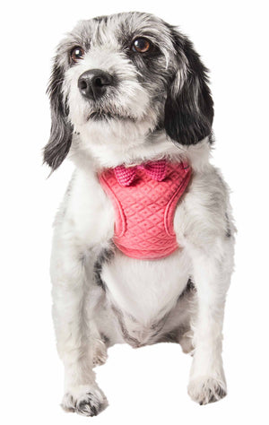 Pet Life  'Flam-Bowyant' Mesh Reversible And Breathable Adjustable Dog Harness W/ Designer Bowtie - Pet Totality