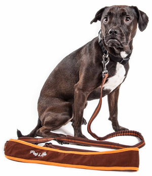Pet Life  'Free-Fetcher' Hands Free Over-The-Shoulder Shock Absorbent Dog Leash - Pet Totality