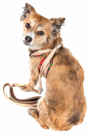 Pet Life  Luxe 'Dapperbone' 2-In-1 Mesh Reversed Adjustable Dog Harness-Leash W/ Fashion Bowtie - Pet Totality