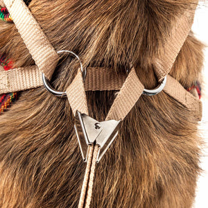 Pet Life  Luxe 'Dapperbone' 2-In-1 Mesh Reversed Adjustable Dog Harness-Leash W/ Fashion Bowtie - Pet Totality