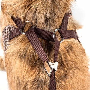 Pet Life  Luxe 'Houndsome' 2-In-1 Mesh Reversible Plaided Collared Adjustable Dog Harness-Leash - Pet Totality