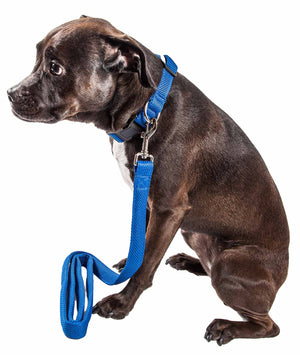 Pet Life ® 'Aero Mesh' 2-In-1 Dual Sided Comfortable And Breathable Adjustable Mesh Dog Leash-Collar - Pet Totality