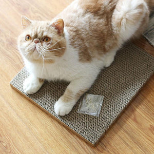 Pet Totality Kawaii Cat Scratcher Toy Bed With Catnip - Pet Totality