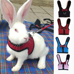 Pet Totality Small Animal Harness With Bow & Leash, Blue, Pink, Red - Pet Totality
