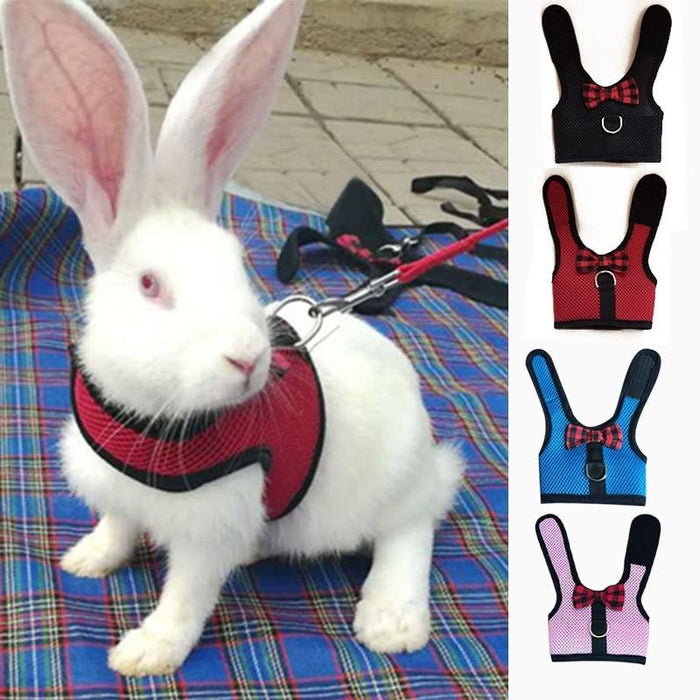 Pet Totality Small Animal Harness With Bow & Leash, Blue, Pink, Red