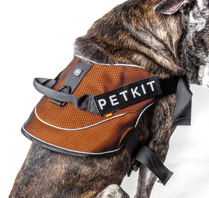 Petkit Air Quad-Connecting Adjustable Cushioned Chest Compression Dog Harness - Pet Totality