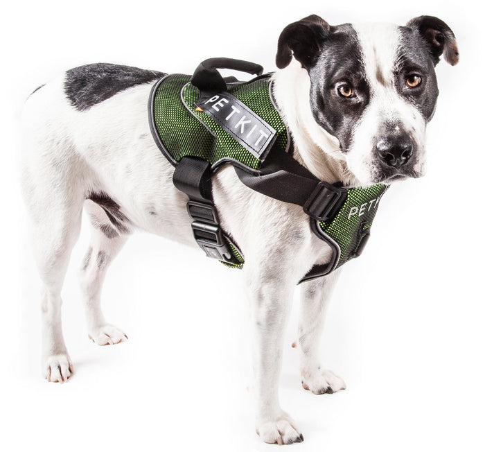 Petkit Air Quad-Connecting Adjustable Cushioned Chest Compression Dog Harness