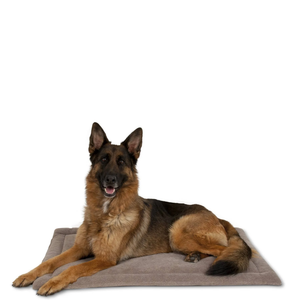Petmate Kennel Mat Tan 41.5X26.5In - Pet Totality