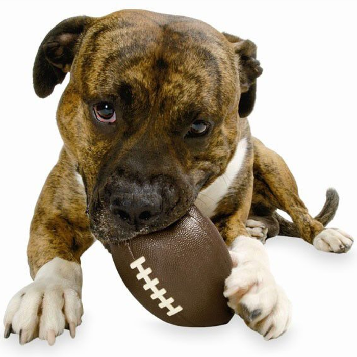 Planet Dog Football Dog Toy Brown