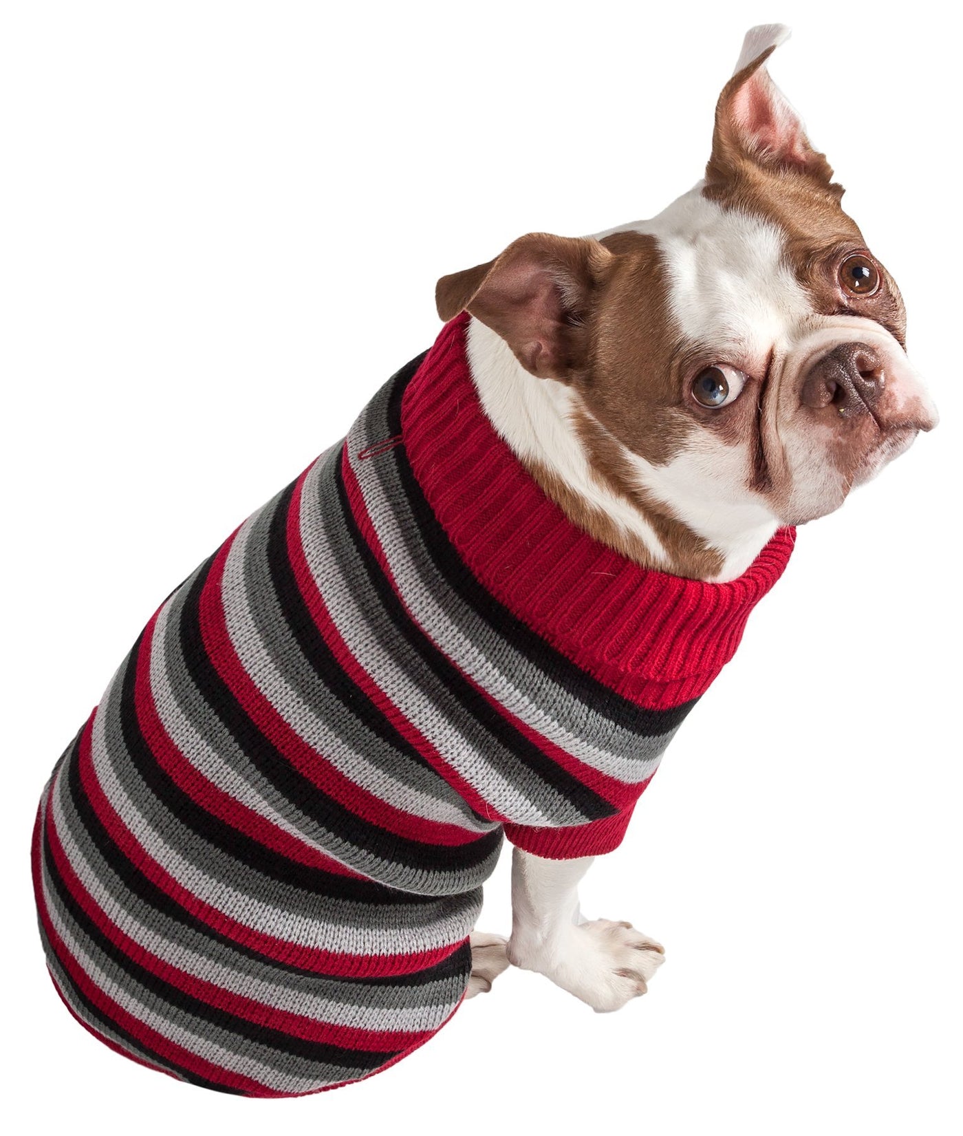 Polo-Casual Lounge Cable Knit Designer Turtle Neck Dog Sweater - Pet Totality