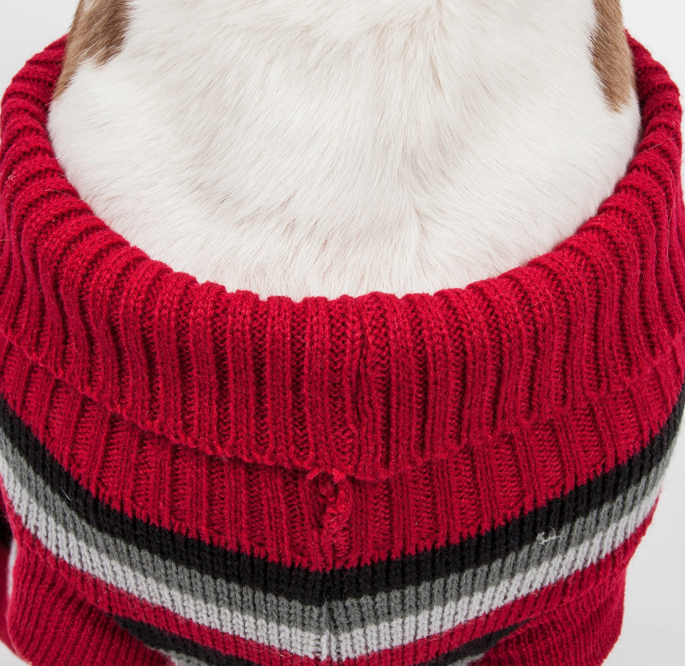 Polo-Casual Lounge Cable Knit Designer Turtle Neck Dog Sweater - Pet Totality